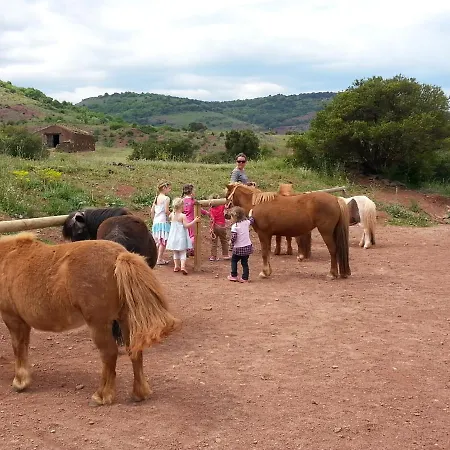 Au Du Salagou - 10 Pers Octon