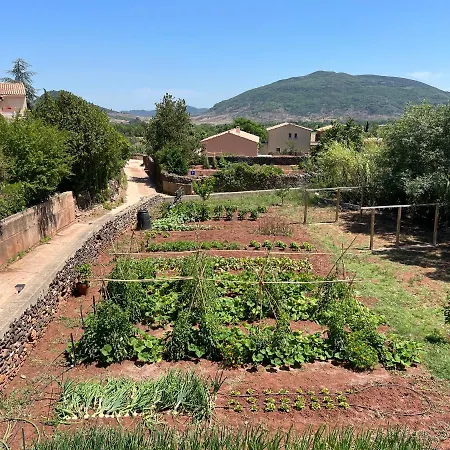 Charmante Maison Proche Du Du Salagou Au Calme - 10 Pers *